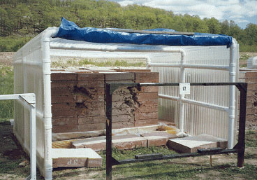 SACON test structure SACON test structure